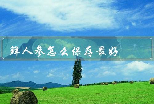 鲜人参怎么保存最好