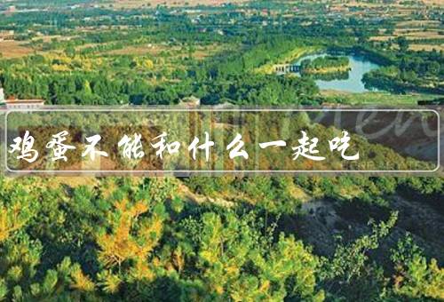 鸡蛋不能和什么一起吃