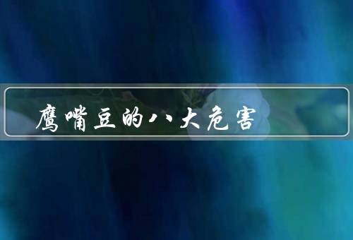 鹰嘴豆的八大危害