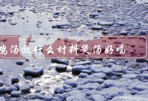 鸡汤放什么材料煲汤好喝