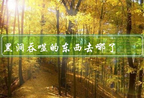黑洞吞噬的东西去哪了