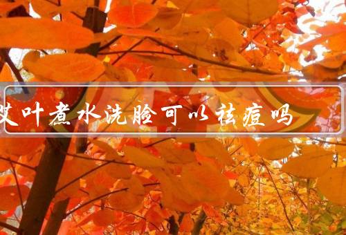 艾叶煮水洗脸可以祛痘吗，淡化痘印还除螨（艾草水面膜制作方法）
