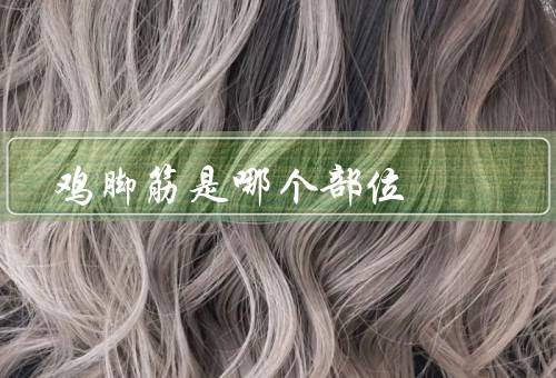 鸡脚筋是哪个部位