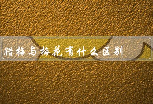 腊梅与梅花有什么区别