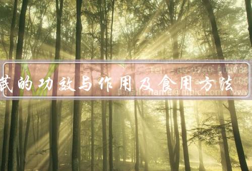 黄芪的功效与作用及食用方法