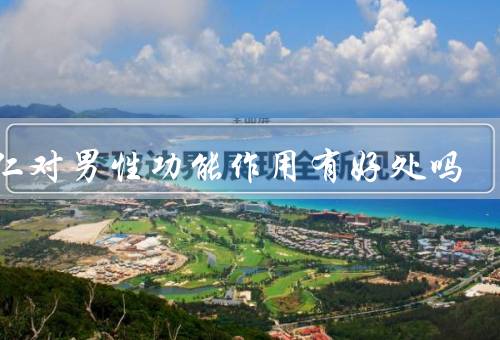 杏仁对男性功能作用有好处吗