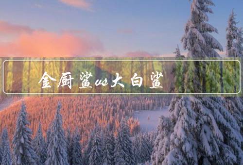 金厨鲨vs大白鲨
