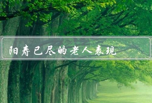 阳寿已尽的老人表现