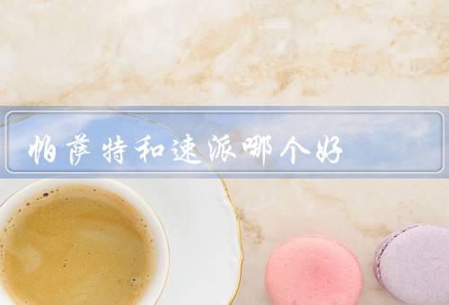 帕萨特和速派哪个好