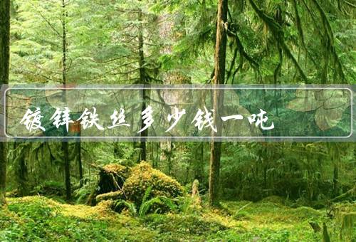 镀锌铁丝多少钱一吨