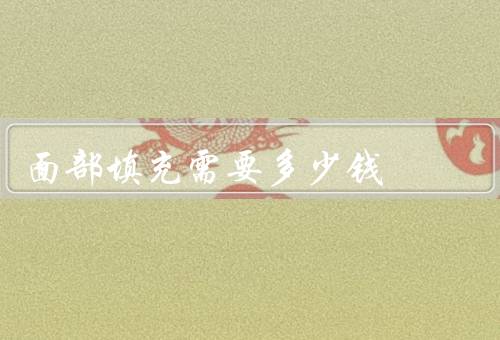 面部填充需要多少钱