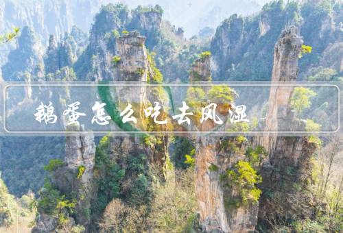 鹅蛋怎么吃去风湿