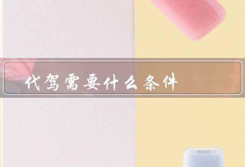 代驾需要什么条件