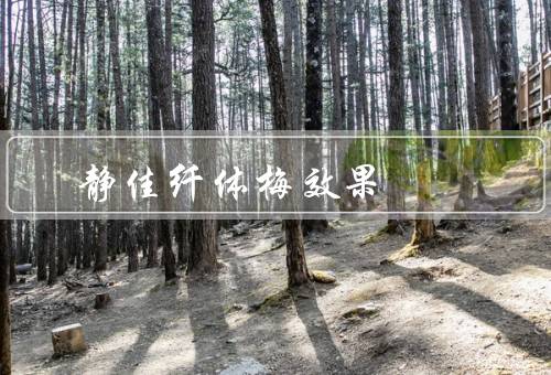 静佳纤体梅效果
