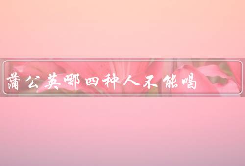 蒲公英哪四种人不能喝