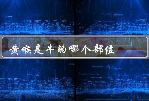 黄喉是牛的哪个部位