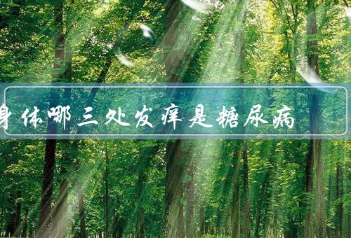 身体哪三处发痒是糖尿病