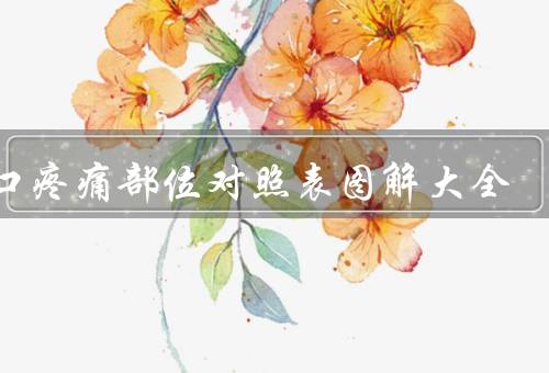 胸口疼痛部位对照表图解大全