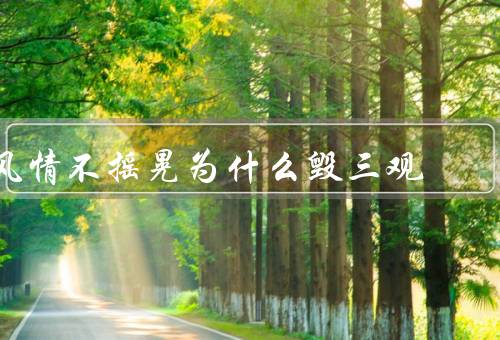 风情不摇晃为什么毁三观