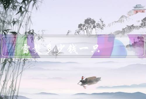 雪獒多少钱一只