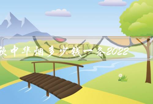 软中华烟多少钱一条2022，650元一条（中华香烟价格一览表）