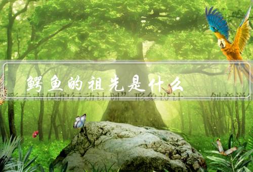 鳄鱼的祖先是什么，三叠纪晚期的鳄形类爬行动物