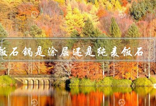 麦饭石锅是涂层还是纯麦饭石