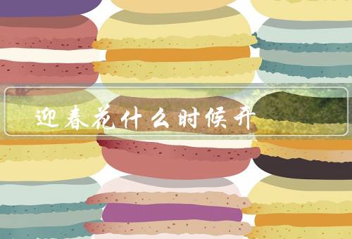 迎春花什么时候开