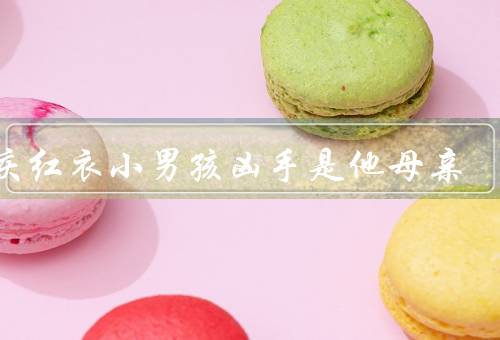 重庆红衣小男孩凶手是他母亲