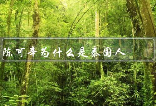 陈可辛为什么是泰国人