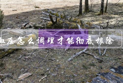高血压怎么调理才能彻底根除