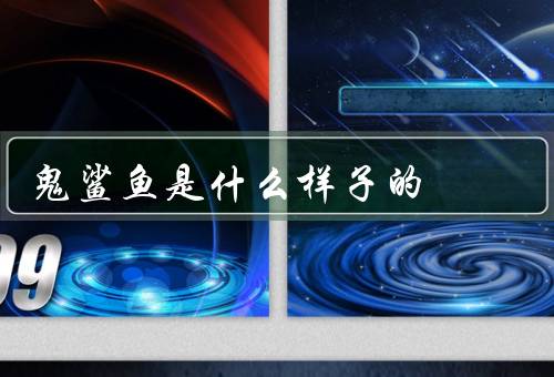 鬼鲨鱼是什么样子的