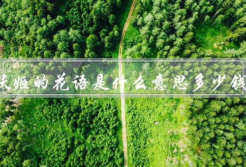 蓝色妖姬的花语是什么意思多少钱