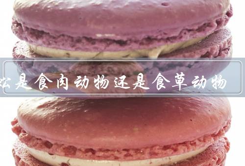 蜈蚣是食肉动物还是食草动物