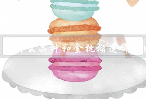 金腰榴莲是什么品种和金枕榴莲哪种好吃，肉小核大不如金枕
