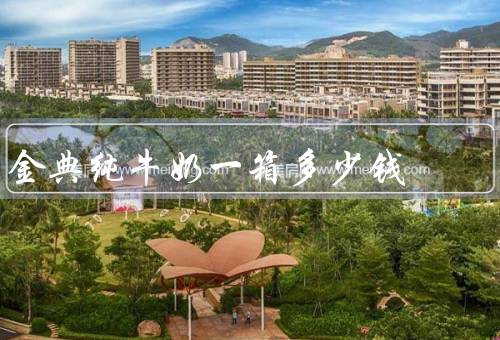 金典纯牛奶一箱多少钱