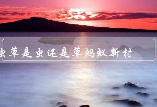 虫草是虫还是草蚂蚁新村