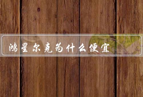 鸿星尔克为什么便宜