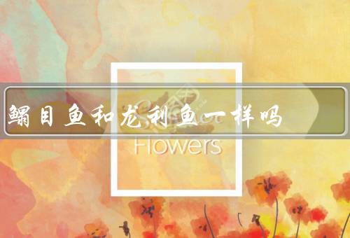 鳎目鱼和龙利鱼一样吗