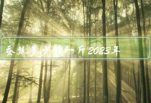 蚕丝多少钱一斤2023年