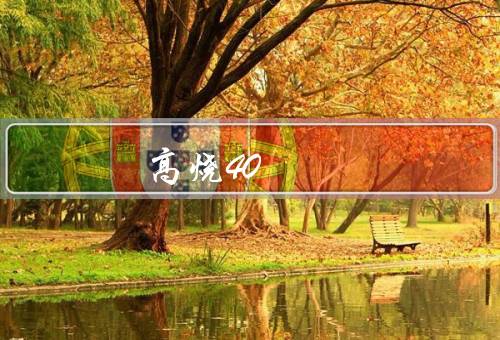 高烧40.2度10分钟的危害