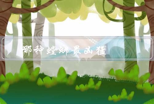 哪种螳螂最凶猛