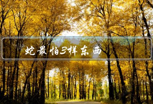 蛇最怕3样东西