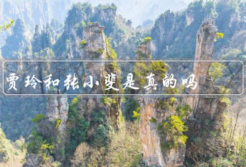 贾玲和张小斐是真的吗