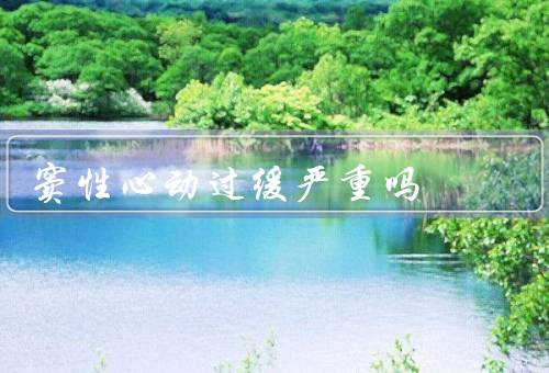 窦性心动过缓严重吗