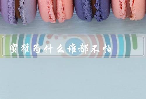 蜜獾为什么谁都不怕
