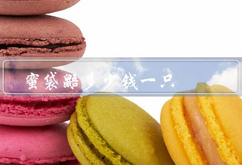 蜜袋鼯多少钱一只