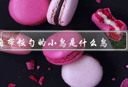 自带饭勺的小鸟是什么鸟