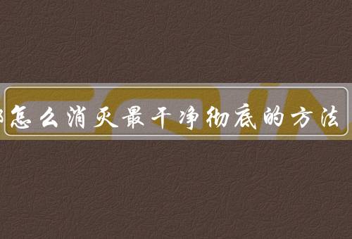 蟑螂怎么消灭最干净彻底的方法