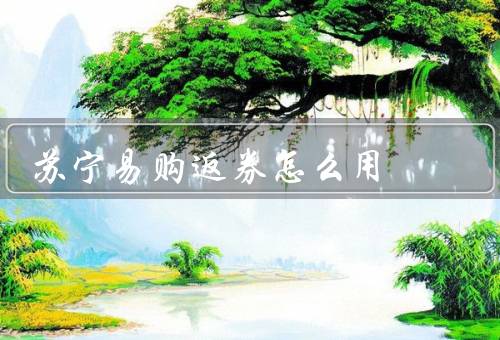 苏宁易购返券怎么用